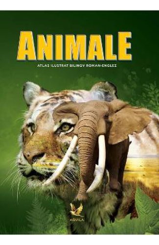 Animale. atlas ilustrat bilingv roman-englez
