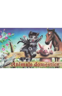 Animale domestice (pliant)