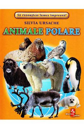 Animale polare - cartonase - silvia ursache