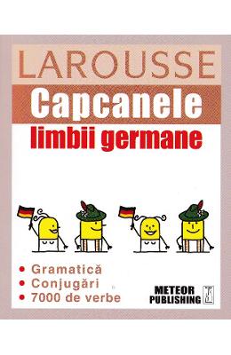 Capcanele limbii germane larousse