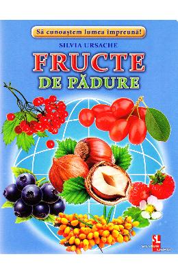 Fructe de padure - cartonase - silvia ursache