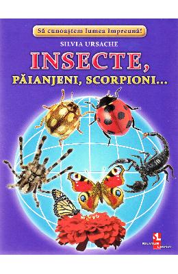 Insecte, paianjeni, scorpioni... - cartonase - silvia ursache