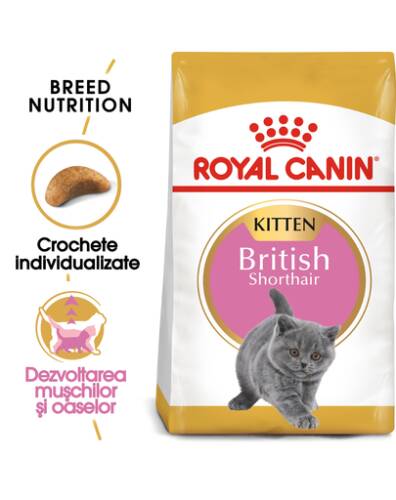 Royal canin british shorthair kitten hrană uscată pisică 400 g