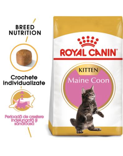 Royal canin kitten maine coon 2 kg