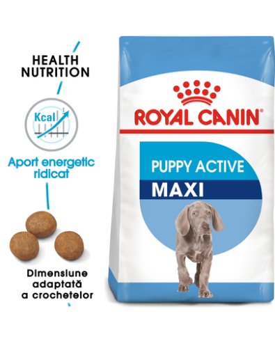 Royal canin maxi puppy active 15 kg