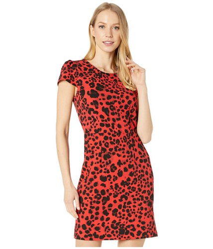 Imbracaminte femei betsey johnson leopard mini dress with v-back red leopard