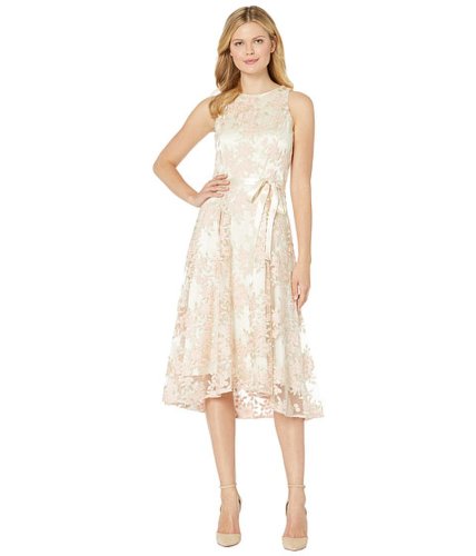 Imbracaminte femei tahari by asl embroidered mesh midi dress champagnepetal
