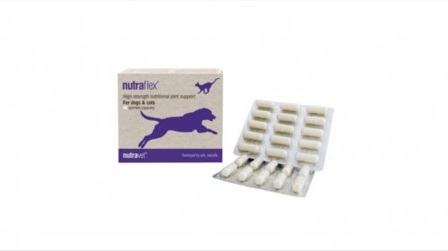 Nutravet nutraflex pentru caini si pisici, 60 capsule