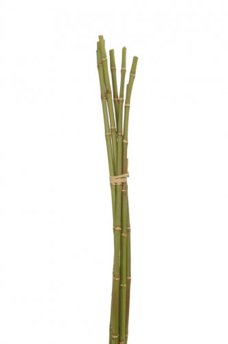 Jolipa Bambus artificial, plastic, verde, 0x0x72 cm