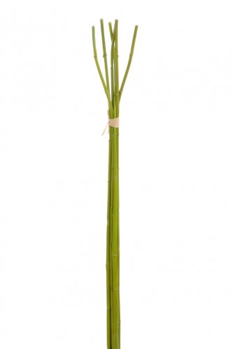 Bambus, plastic, verde, 110x10x5 cm
