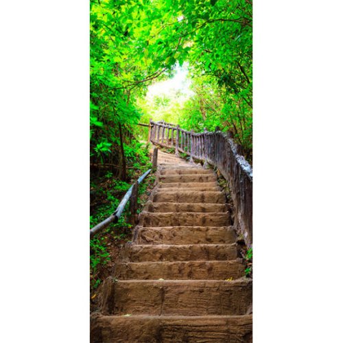 Fototapet pentru ușă photo wallpaper – stairs from nature i