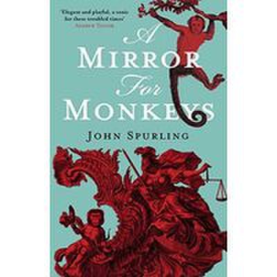 Mirror for monkeys