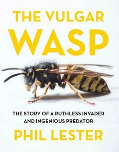 Victoria University Press The vulgar wasp, paperback/phil lester