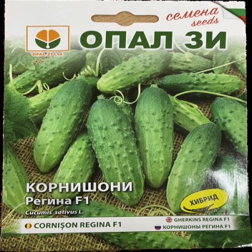 Seminte castraveti cornison regina f1 1 gr bulgaria