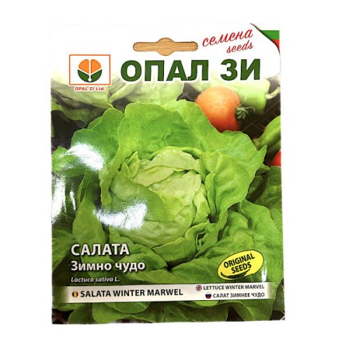 Seminte salata minune de iarna/winter marvel 2 gr, opalzi bulgaria